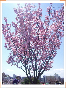 20120407_3.jpg