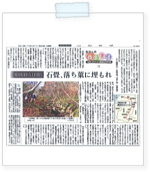 20121124yamasin.jpg